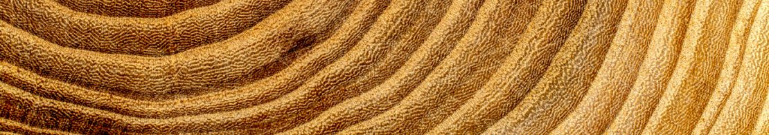 bannière pied de page