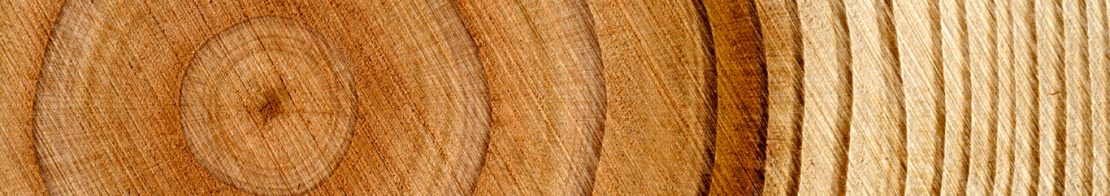 bannière pied de page